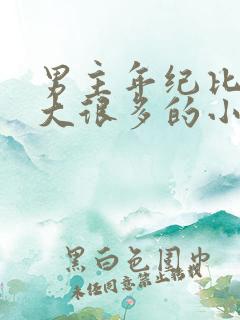 男主年纪比女主大很多的小说