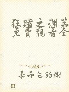 狂赌之渊第二季免费观看全集