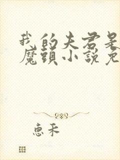 我的夫君是灭世魔头小说免费阅读