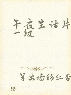 午夜生活片av一级