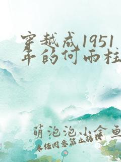 穿越成1951年的何雨柱小说