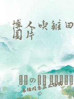 博人吃雏田饺子图片