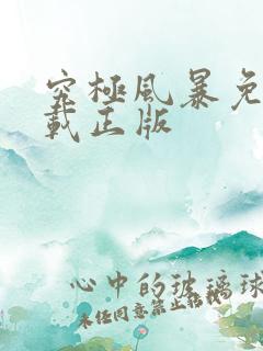 究极风暴免费下载正版