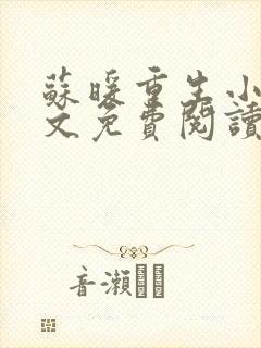 苏暖重生小说全文免费阅读