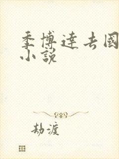 季博达去国外的小说