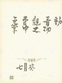 免费观看动态漫掌中之物