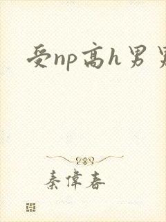 受np高h男男