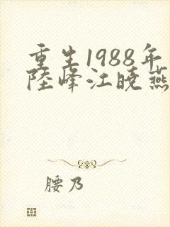 重生1988年陆峰江晓燕