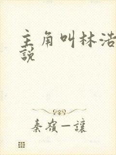 主角叫林浩的小说