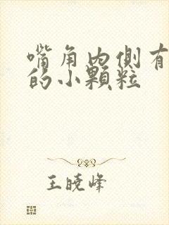 嘴角内侧有白色的小颗粒