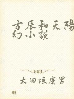方辰和天阳子玄幻小说