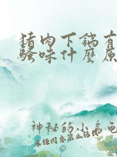 猪肉下锅有一股骚味什么原因