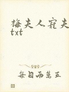 梅夫人宠夫日常txt