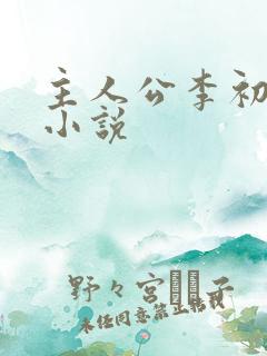 主人公李初年的小说