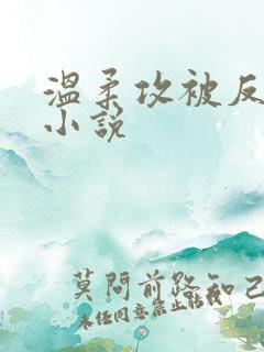 温柔攻被反压的小说