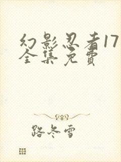 幻影忍者17季全集免费