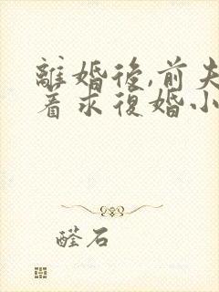 离婚后,前夫哭着求复婚小说全文在线阅读