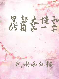 黑帮大佬和我365日第一季