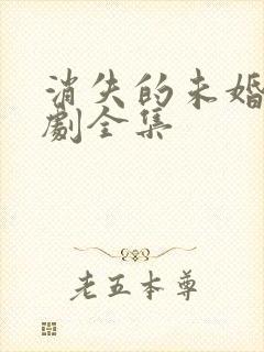 消失的未婚妻短剧全集