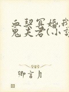 血契冥婚,我的鬼夫君(小说)