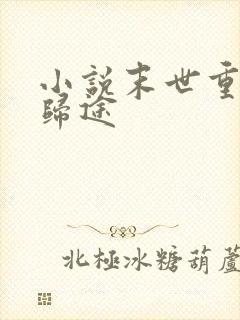 小说末世重生之归途