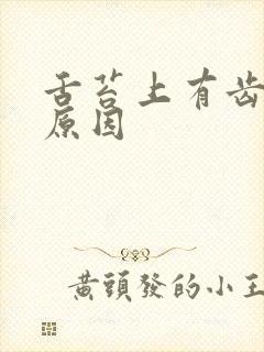 舌苔上有齿痕的原因