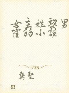 女主姓黎男主姓霍的小说