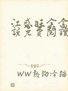 江盛旺余念安小说免费阅读最新章节