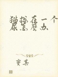 猫总在一个地方尿怎么办