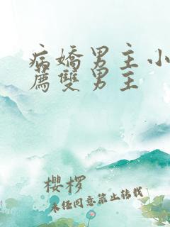 病娇男主小说推荐双男主