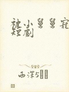 被小舅舅宠上天短剧