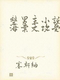 双男主小说高干海棠文攻受