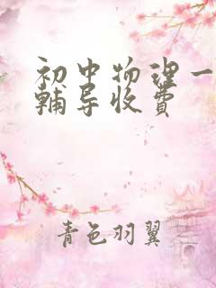 初中物理一对一辅导收费