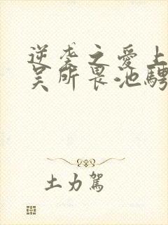 逆袭之爱上情敌吴所畏池骋小说免费阅读