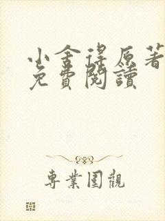 小舍得原著小说免费阅读