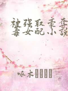 被强取豪夺的恶毒女配小说