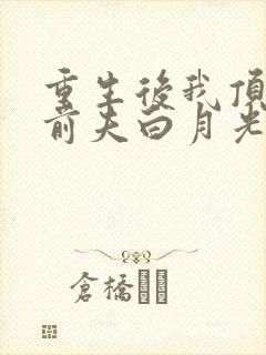 重生后我顶替了前夫白月光在线免费阅读