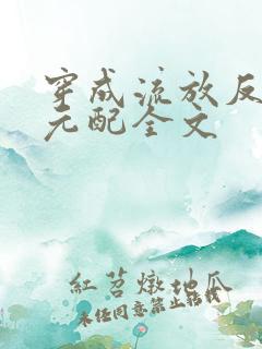 穿成流放反派他元配全文