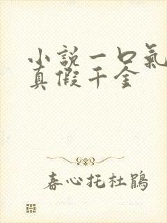 小说一口气看完真假千金