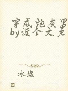 穿成炮灰男妻后by渡全文免费