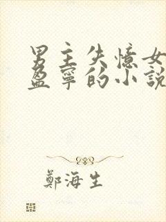 男主失忆女主沈盈宁的小说