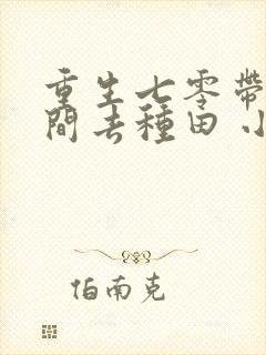 重生七零带着空间去种田 小说