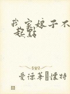 我家娘子不对劲 起点