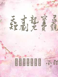 天才龙宝寻亲记短剧免费观看高清