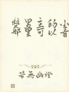 双男主的小说在哪里可以看