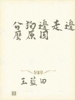 公狗边走边尿什么原因