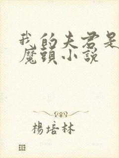 我的夫君是灭世魔头小说