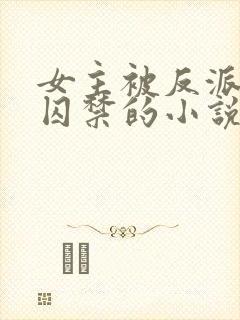 女主被反派强迫囚禁的小说