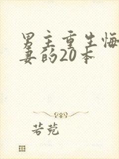 男主重生悔追前妻的20本