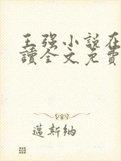 王强小说在线阅读全文免费